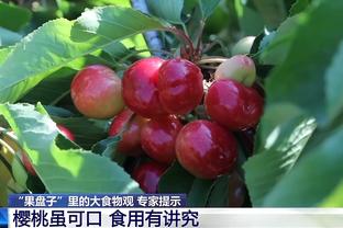 雷电竞下载app下载截图2